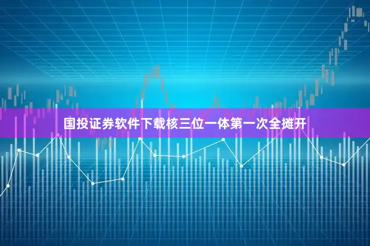 国投证券软件下载核三位一体第一次全摊开